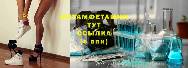 индика Алексин