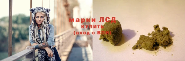 индика Алексин