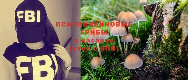 крисы Алзамай