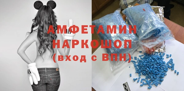 индика Алексин
