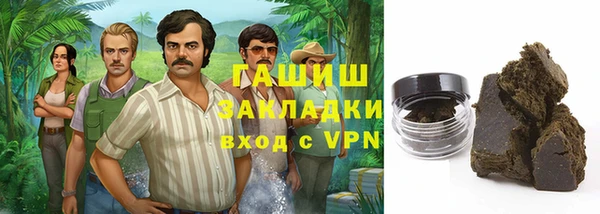 индика Алексин
