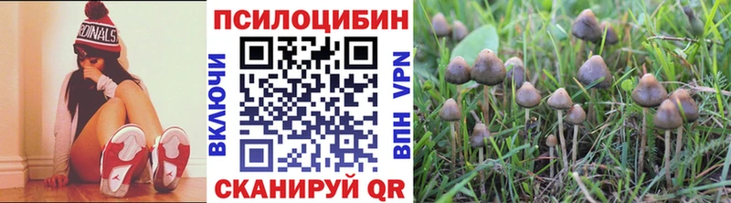 Галлюциногенные грибы ЛСД  Коряжма 