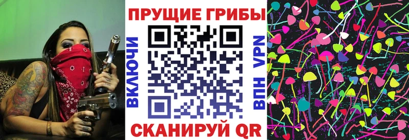 Псилоцибиновые грибы GOLDEN TEACHER Коряжма