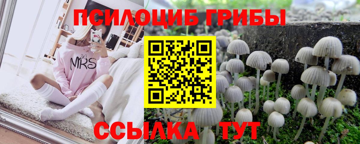 Галлюциногенные грибы мицелий  Вход с VPN  Коряжма 